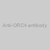 Anti-ORC4 antibody